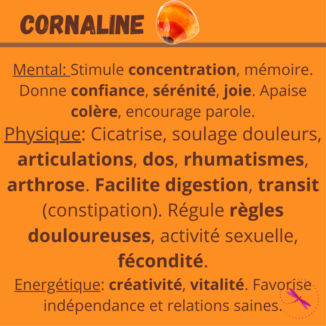 CORNALINE (pierre ronde)